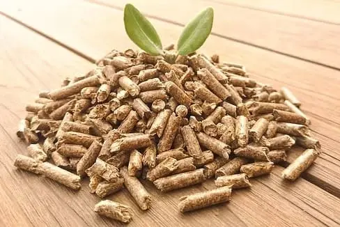 Vendita Pellet